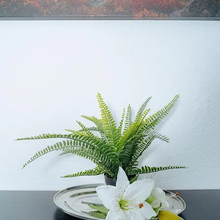 Am Alten Loehrtor Apartment
